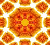 Vorlage9